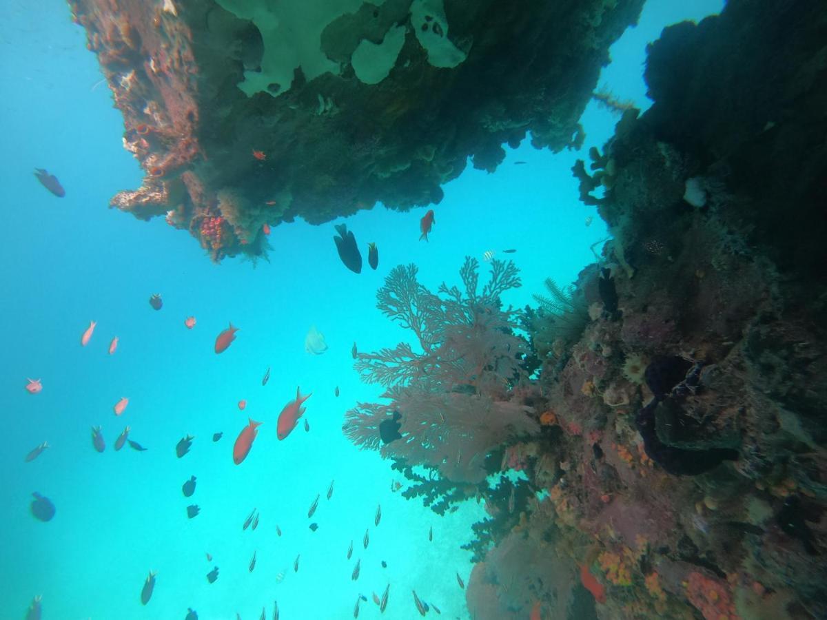 Meos Ambower Homestay Raja Ampat Fam Exterior foto