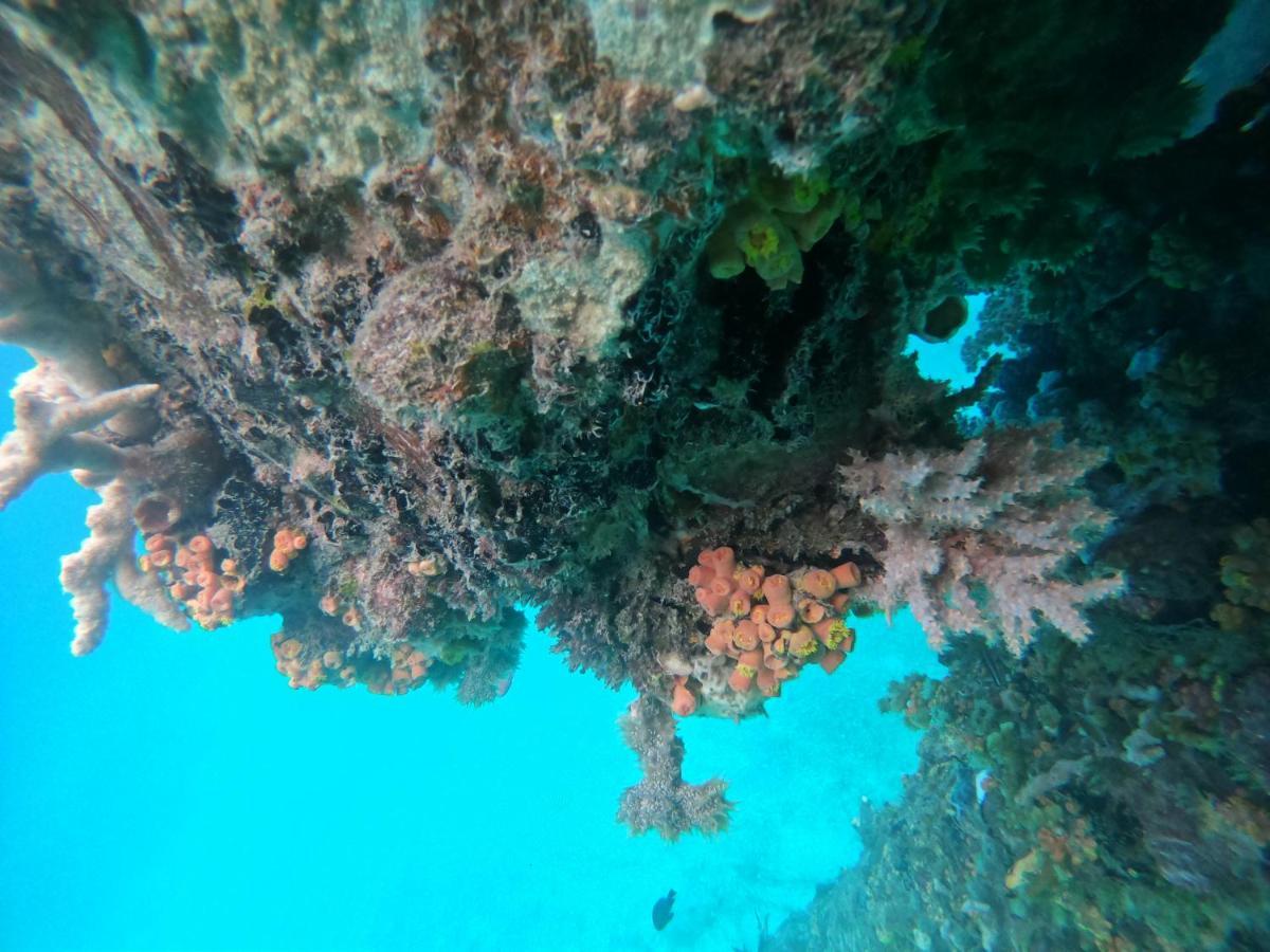Meos Ambower Homestay Raja Ampat Fam Exterior foto