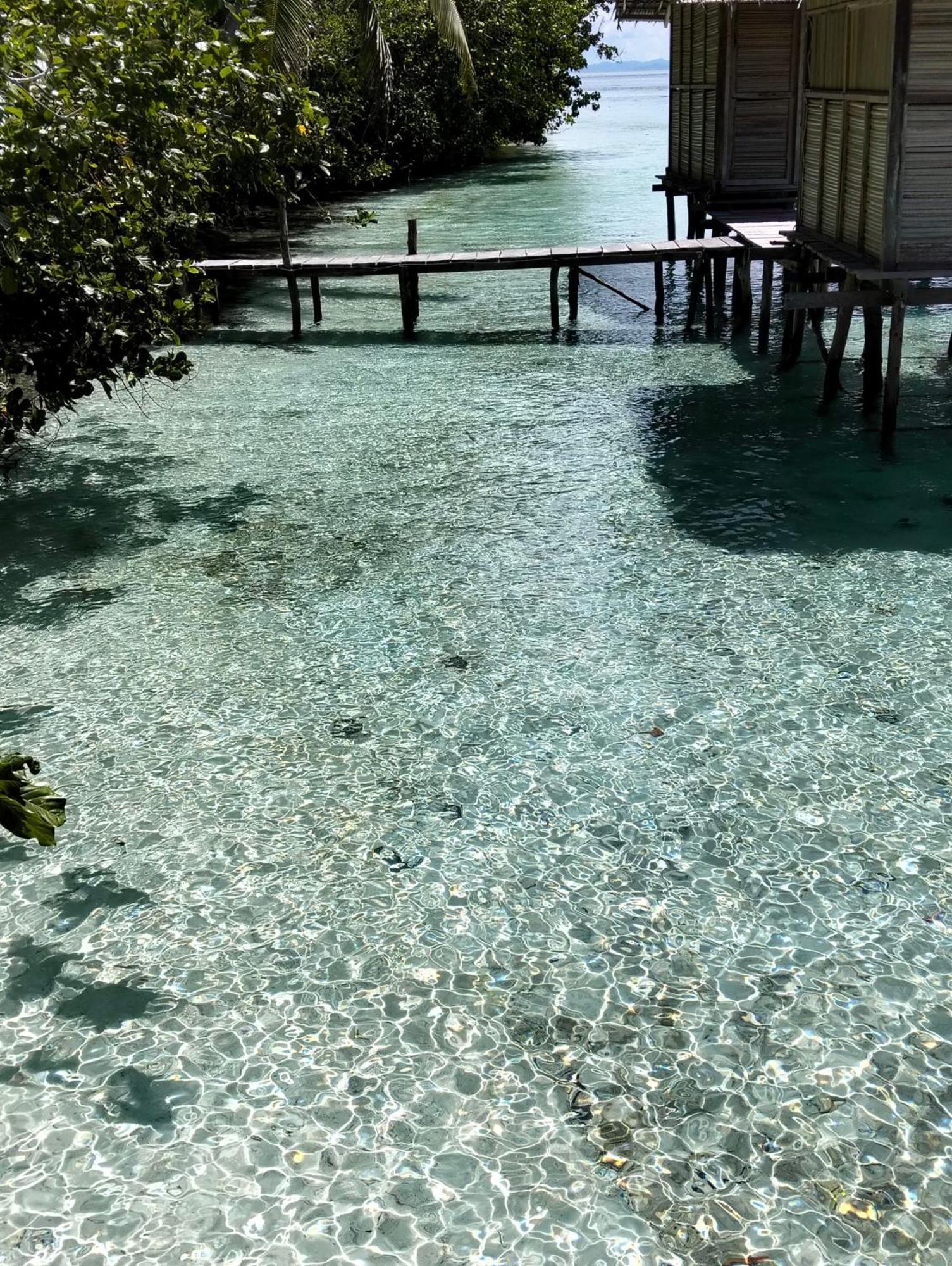 Meos Ambower Homestay Raja Ampat Fam Exterior foto