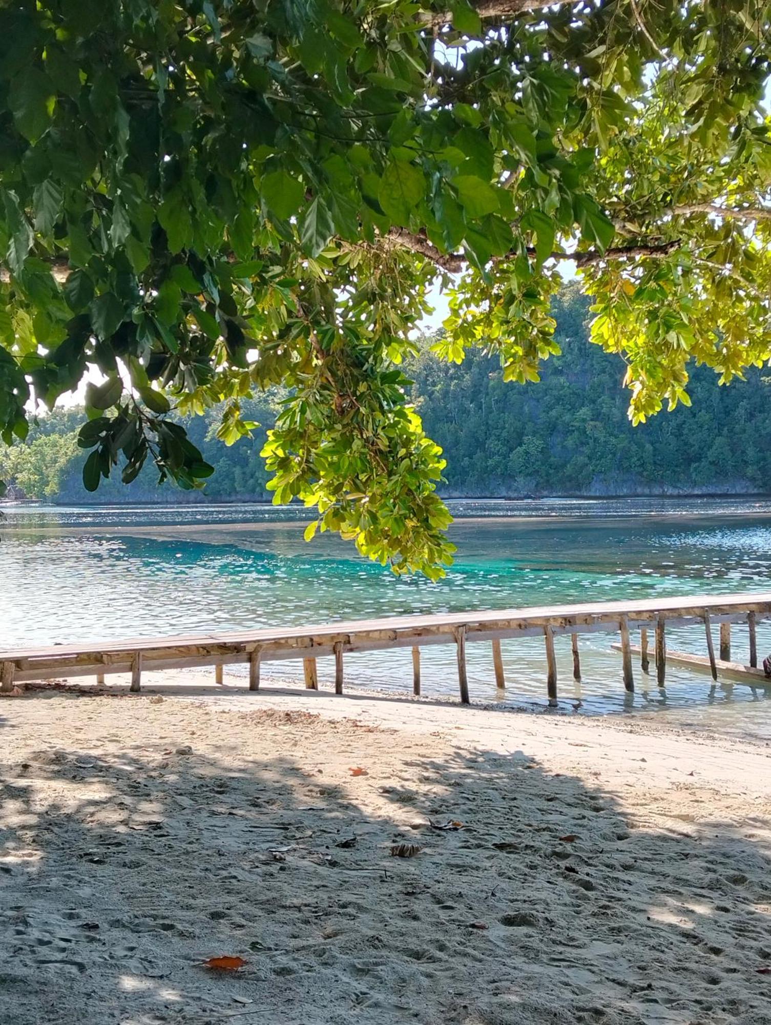 Meos Ambower Homestay Raja Ampat Fam Exterior foto
