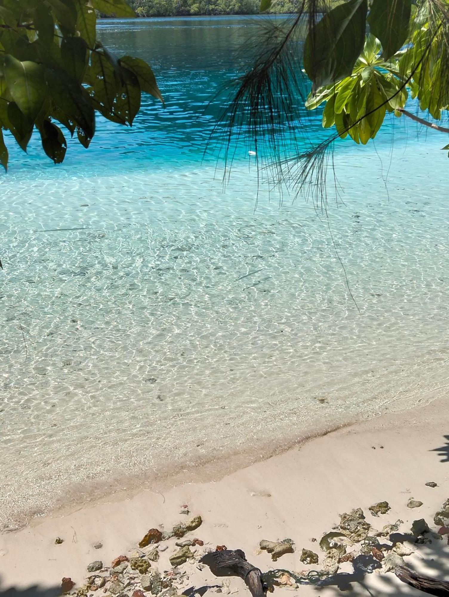 Meos Ambower Homestay Raja Ampat Fam Exterior foto