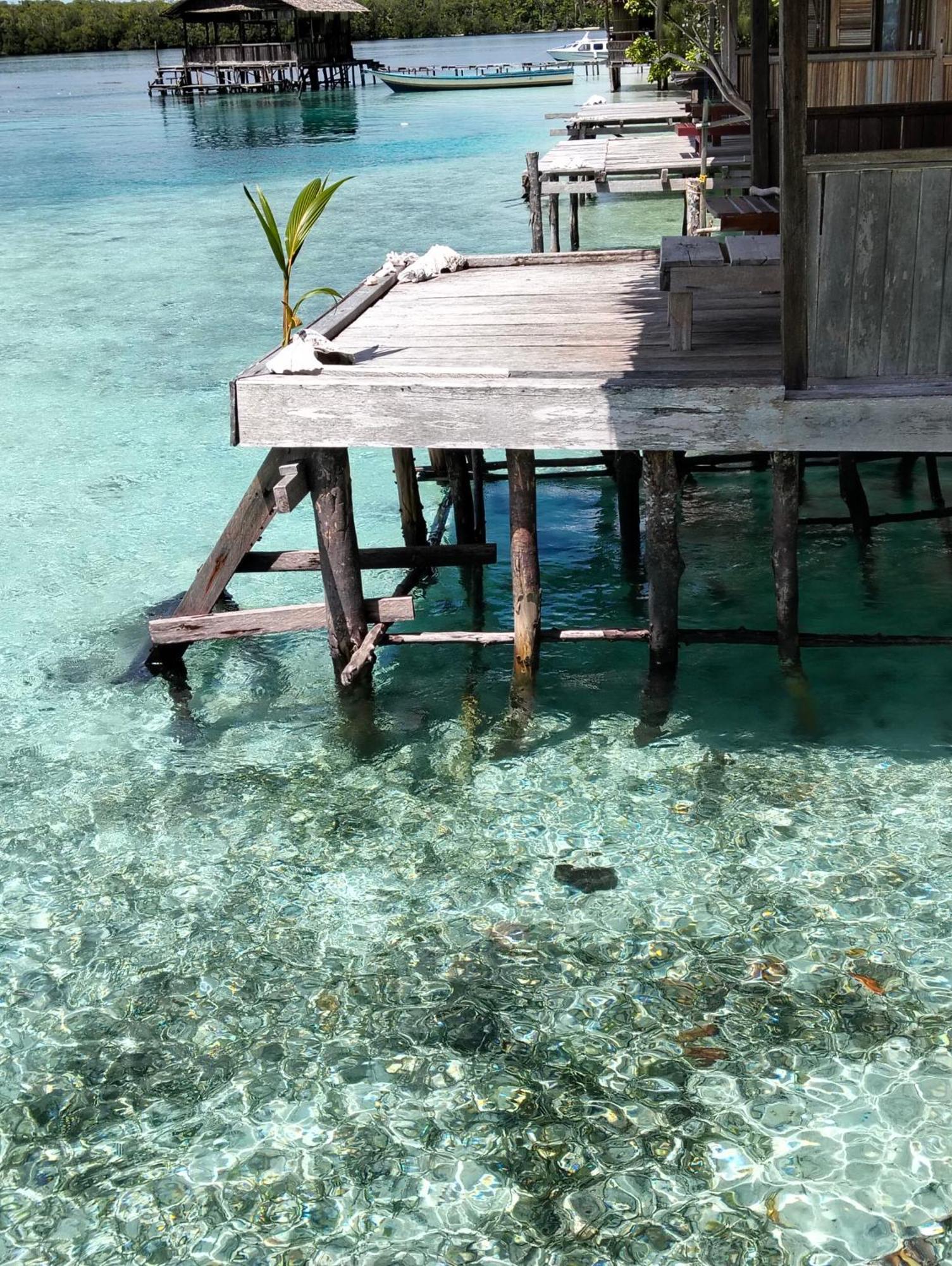 Meos Ambower Homestay Raja Ampat Fam Exterior foto
